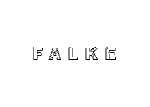 Logo Falke